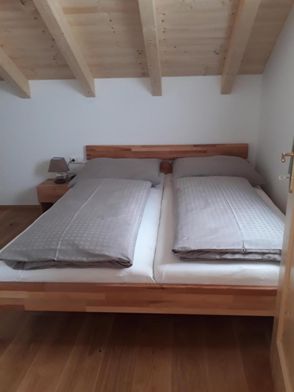 Ferienwohnung Lisa Bad Mitterndorf Εξωτερικό φωτογραφία